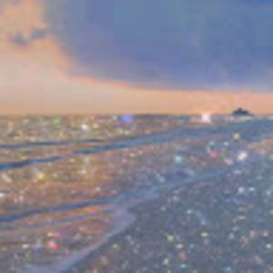 Meet your Posher, Joy